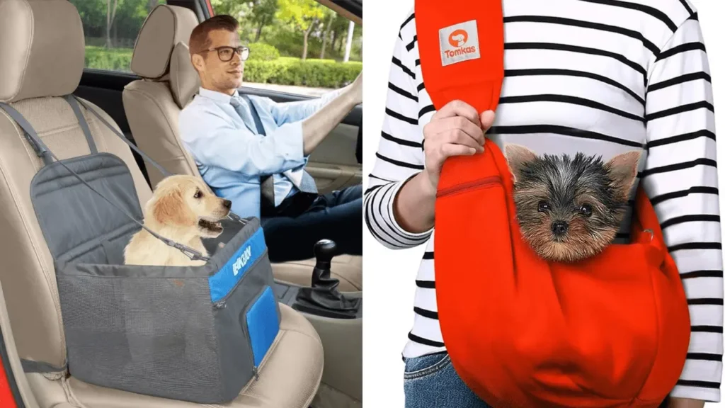 best dog car travel accessories